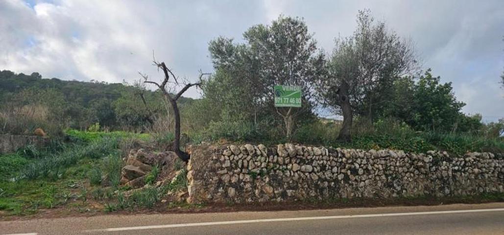 Terreno en venta en Santa Eugènia, Santa Eugenia photo 0