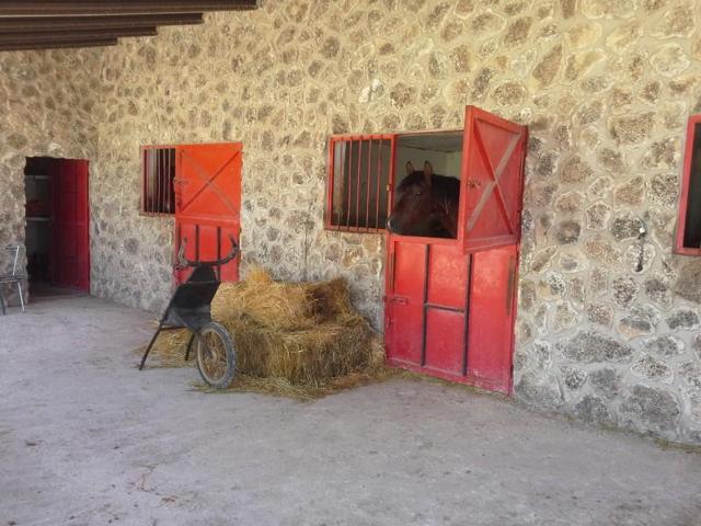 Chalet en venta en Yecla photo 0