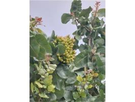 Chalet en venta en Toledo photo 0