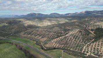 Terreno en venta en Iznalloz, Andalucia photo 0