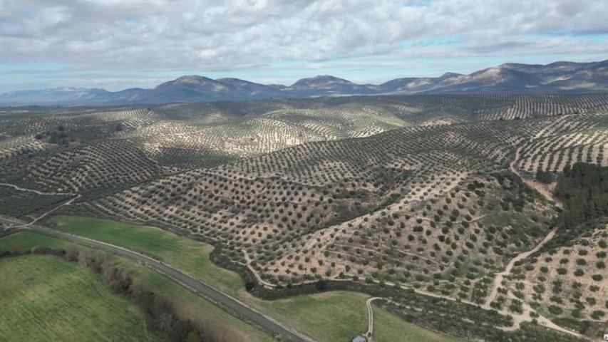 Terreno en venta en Iznalloz, Andalucia photo 0