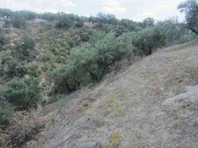 Terreno en venta en Almedinilla, Almedinilla photo 0