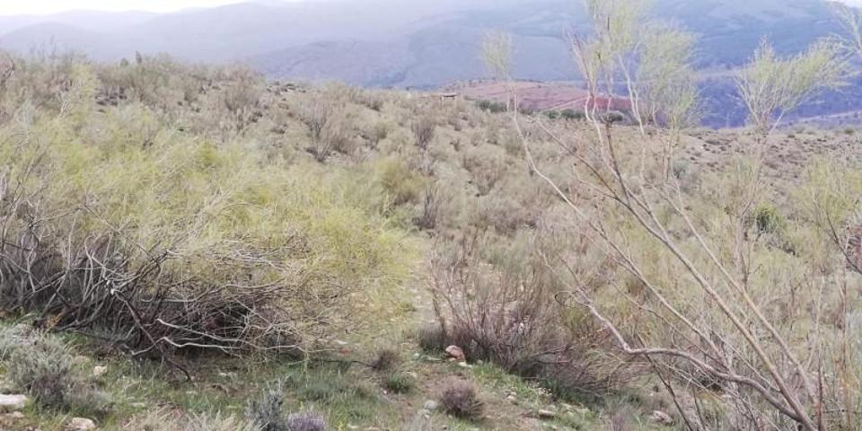 Terreno en venta en Ugíjar, Acequia de la cara, 18480 photo 0