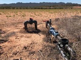 Parcela en venta en Yecla, Ayuntamiento photo 0