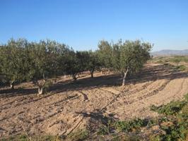 Terreno en venta en Monovar-Monover, La pedrera photo 0