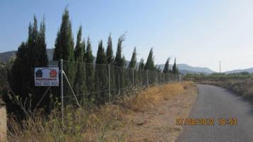 Parcela en venta en Monovar-Monover, MADARA photo 0
