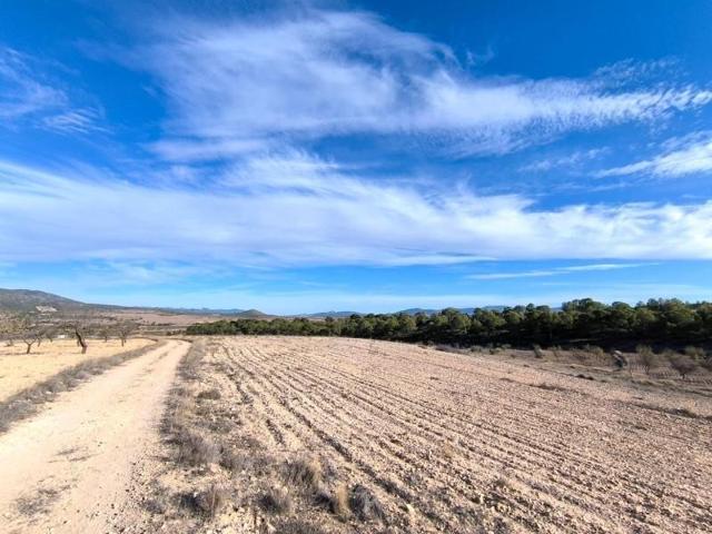 Parcela en venta en Yecla, Raspay photo 0