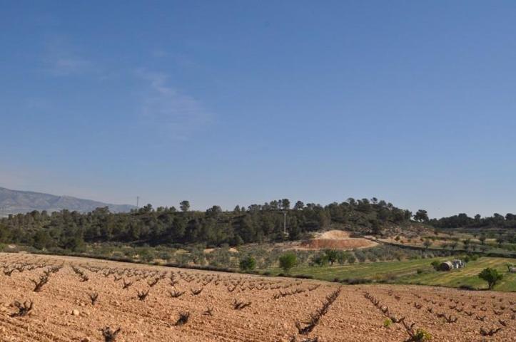 Parcela en venta en Jumilla, Jumilla photo 0