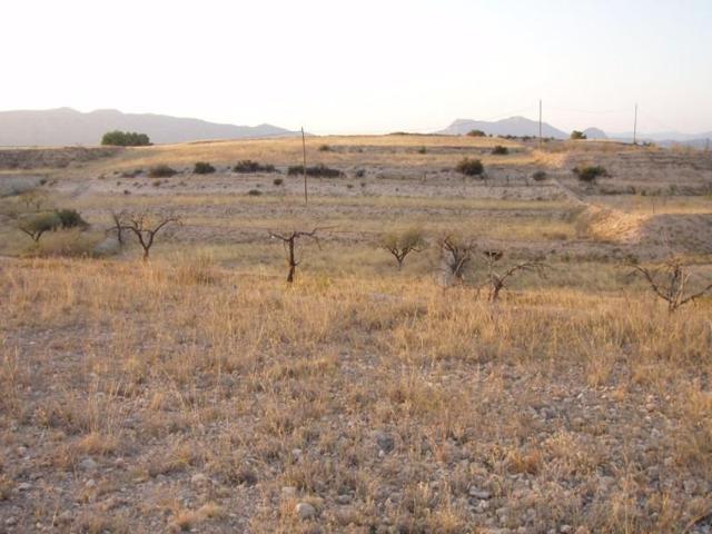 Terreno en venta en Monovar-Monover, El ravalet photo 0