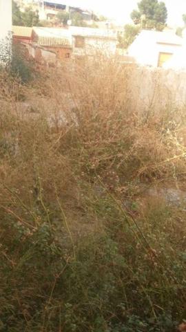 Terreno en venta en Monovar-Monover, Golecha photo 0