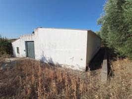 Chalet en venta en Talavera de la Reina, Talavera De La Reina photo 0