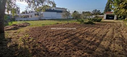 Terreno en venta en Pepino, Chaparral photo 0