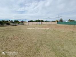 Terreno en venta en Pepino, Soto Del Espinosillo photo 0