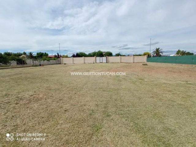 Terreno en venta en Pepino, Soto Del Espinosillo photo 0