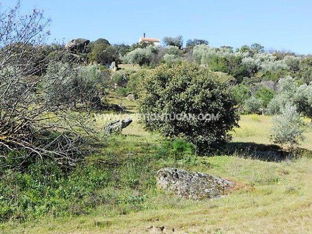 Chalet en venta en San Martín de Pusa, San Martin De Pusa photo 0