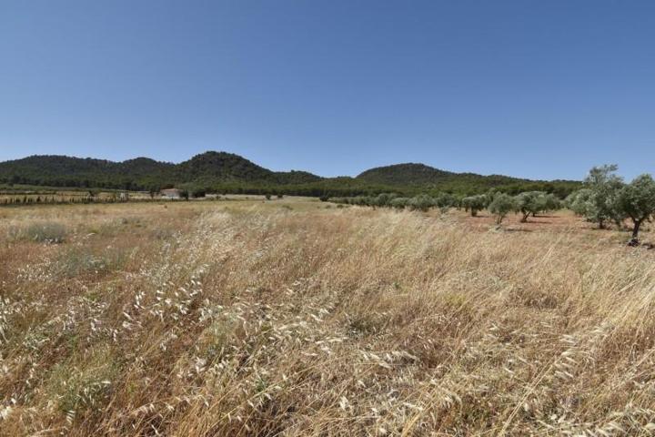 Terreno en venta en Padul, South of spain photo 0