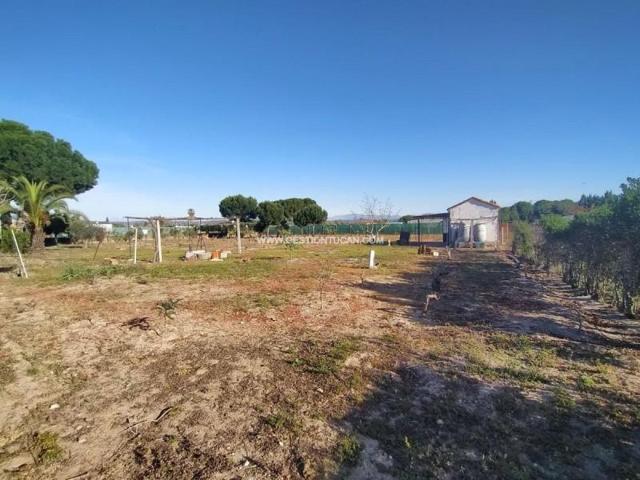 Chalet en venta en Pepino, Soto Del Espinosillo photo 0