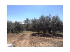 Terreno en venta en Lucena, Lucena photo 0