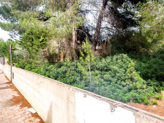 Terreno en venta en Santa Margalida photo 0