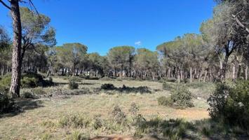 Parcela en venta en Casas-Ibáñez, La ceja photo 0