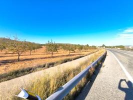 Parcela en venta en Yecla, Ayuntamiento photo 0