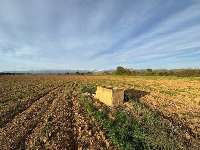 Terreno en venta en Garriguella, Pirineo de girona photo 0