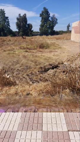 Parcela en venta en Almonte, Almonte - Cuatro Caminos photo 0