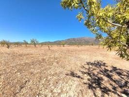 Parcela en venta en Monovar-Monover, Comunidad valenciana photo 0