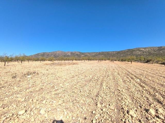 Parcela en venta en Pinoso, Comunidad valenciana photo 0