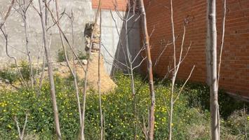 Terreno en venta en Iniesta, La Manchuela photo 0