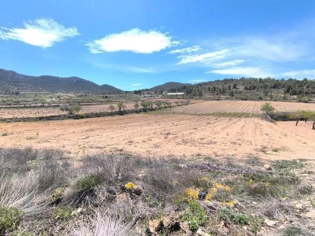 Parcela en venta en Jumilla, Jumilla photo 0