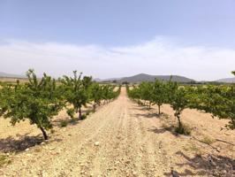Parcela en venta en Úbeda, Andalucia photo 0