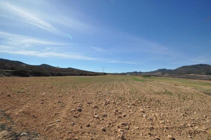 Parcela en venta en Salinas, Comunidad valenciana photo 0