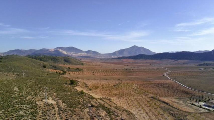 Parcela en venta en Jumilla, Canada del trigo photo 0