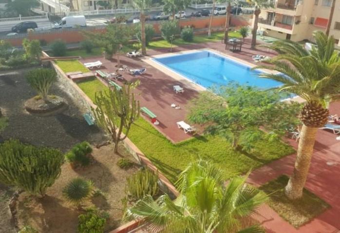 Piso en venta en Arona, Los Cristianos photo 0