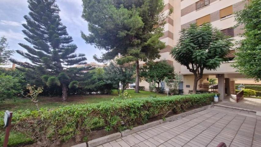 Apartamento en venta en Alicante, Babel photo 0