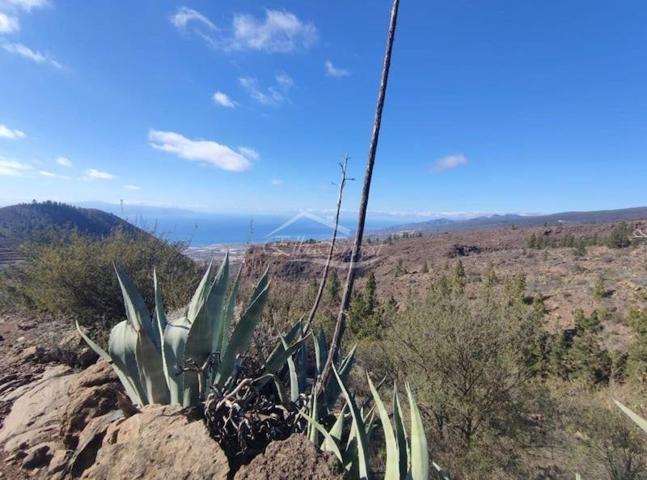 Terreno en venta en Guía de Isora, Las Fuentes photo 0