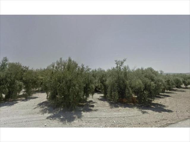 Terreno en venta en Lucena, Lucena photo 0