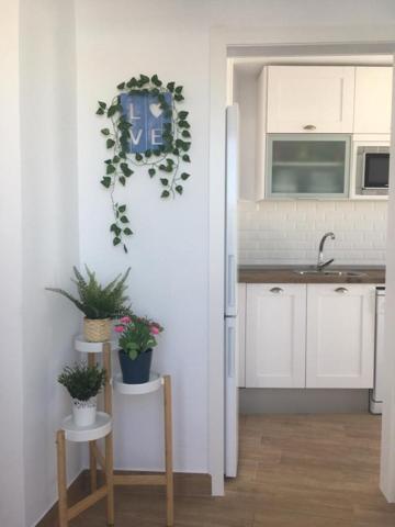 Apartamento en alquiler en Chiclana de la Frontera, Centro urbano photo 0