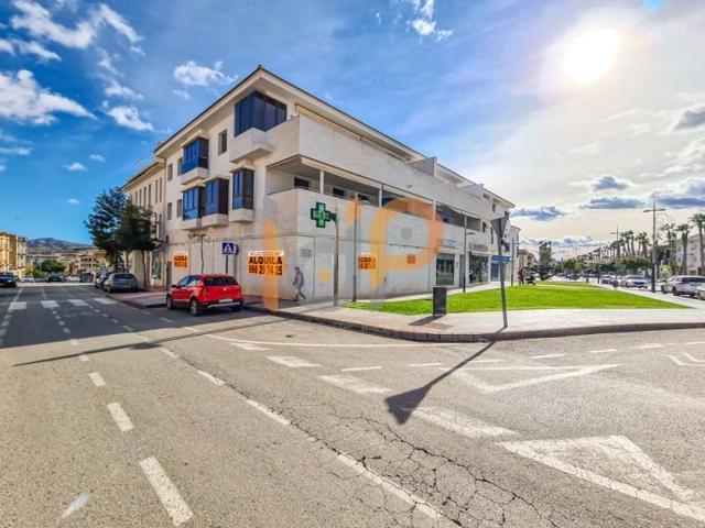 Local comercial en alquiler en Huércal-Overa, Noria del Pino photo 0