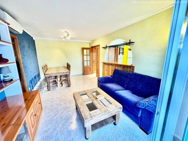 Aticos en alquiler en Alcúdia, PUERTO DE ALCUDIA photo 0