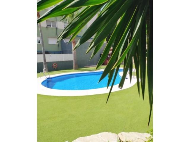 Piso en alquiler en Málaga, El Cónsul - Ciudad Universitaria - El Romeral photo 0