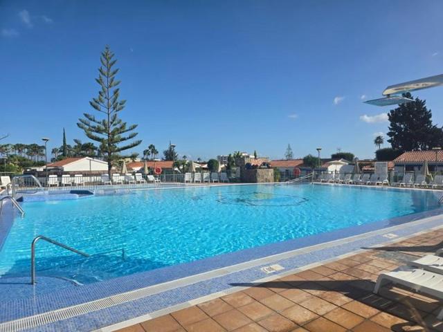 Bungalow en alquiler en San Bartolomé de Tirajana, Playa del Inglés photo 0