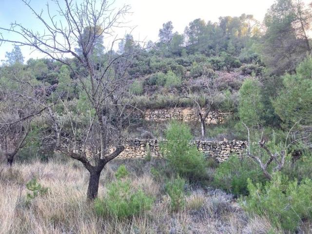 Chalet en venta en Calaceite, Aragon photo 0