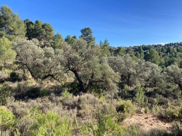 Chalet en venta en Calaceite, Aragon photo 0