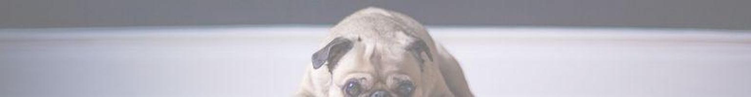 Garaje en venta en Oliva, Oliva pueblo photo 0