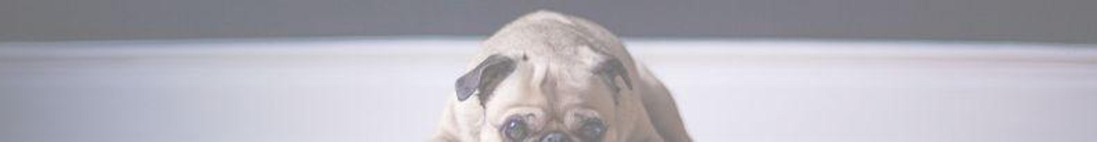 Garaje en venta en Oliva, Oliva pueblo photo 0