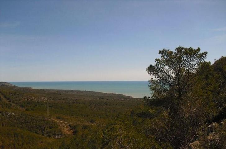Terreno en venta en Castellón de la Plana, Costa del azahar photo 0