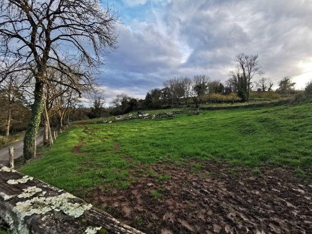 Chalet en venta en Oviedo, Oviedo photo 0