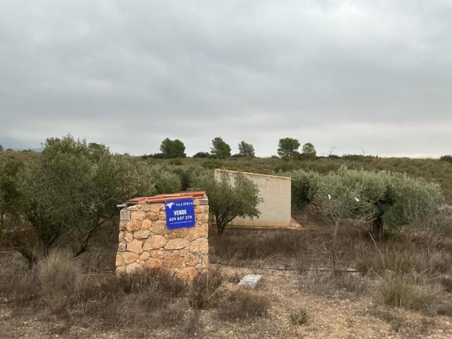 Parcela en venta en Aledo, Aledo photo 0